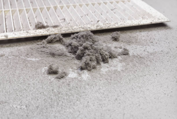 Best HVAC System Cleaning  in Black Diamond, WA