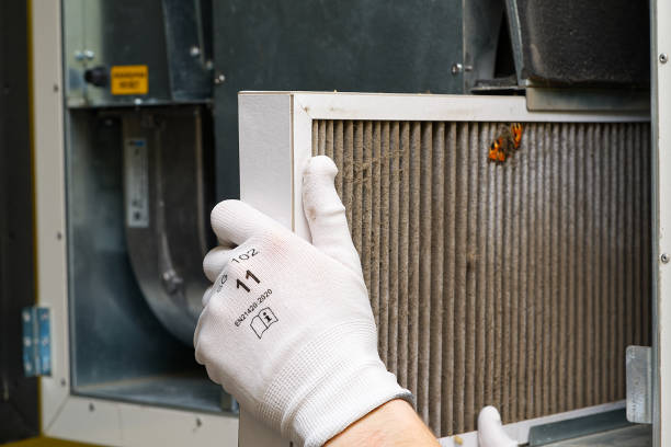 Best Air Duct Cleaning Near Me  in Black Diamond, WA