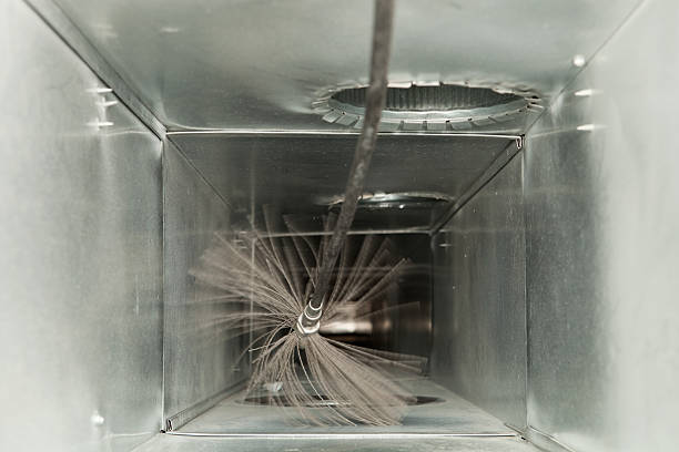 Best Professional Duct Cleaning Services  in Black Diamond, WA