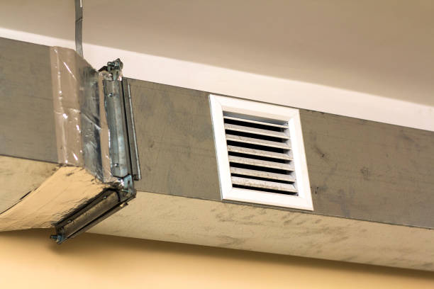 Best Air Vent Cleaning Services  in Black Diamond, WA
